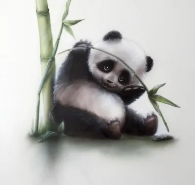 Милые Панды — стоковые фотографии и другие картинки Панда - Панда, Чэнду,  Милый - iStock