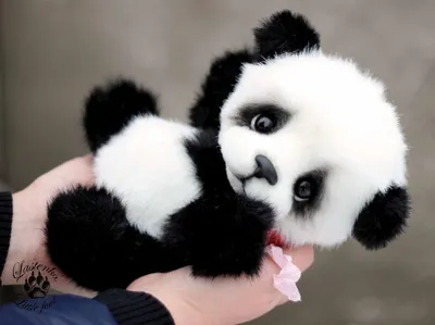 Pin by Sneha Grace on Cute panda | Cute baby animals, Cute animals, Cute  animals puppies