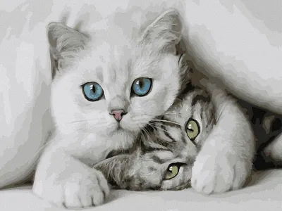 Милые котята» картина Матюниной Ольги (бумага, акварель) — купить на  ArtNow.ru