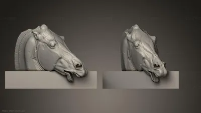 Голова лошади - 60 фото | Лошади, Коричневая лошадь, Животные