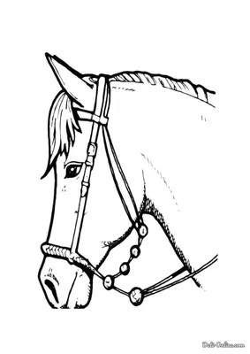 Раскраска Голова лошади для вышивки распечатать или скачать