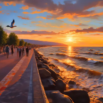 Панорама. Геленджик. Черное море — Фото №1342937
