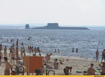 серый смешной человек плавает на надувном круге в море Стоковое Фото -  изображение насчитывающей курорт, круг: 151767652