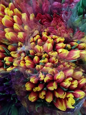 Море Цветов Доставка 24 | Онлайн магазин цветов
