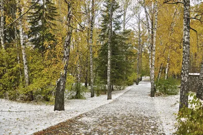 Погода недели в Сочи: начало зимы будет теплым - Новости Сочи Sochinews.io