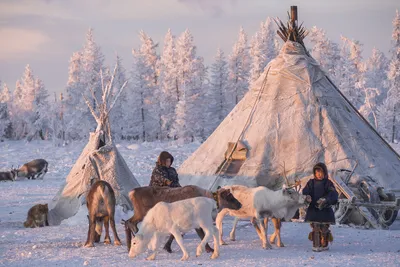 Экспертный доклад «Будущее Арктики: коренные народы Севера в условиях новой  реальности»