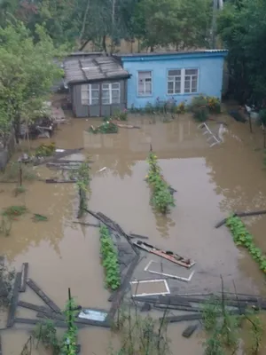 Наводнение на Дальнем Востоке уничтожило каждый пятый дом // Новости НТВ
