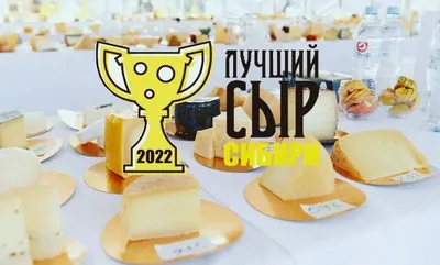 Кто такие тиросемиофилы и причем здесь сыр — читать на Gastronom.ru