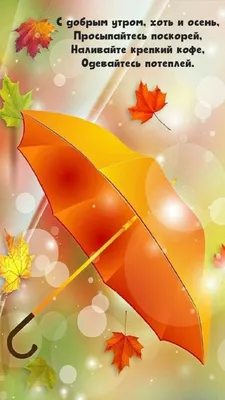 Утро/Осень | Счастливые картинки, Доброе утро, Цитаты для поднятия  настроения
