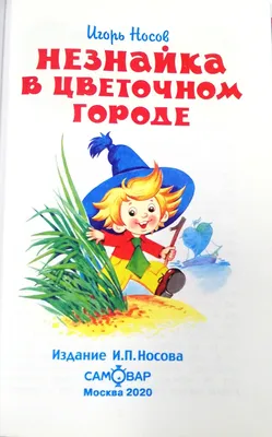 Незнайка в Цветочном городе. Книжка-панорамка Носов Kids Book in Russian |  eBay