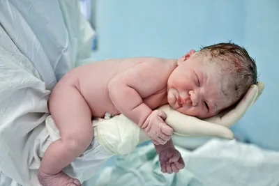 Как выглядит новорожденный ребенок в первые часы жизни | Хобобо | Дзен
