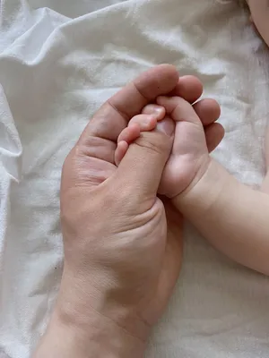 Руки Матери, Держа Ее Новорожденный Ребенок Девочка Стоковые Фотографии |  FreeImages