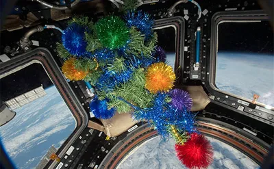 Как отмечают Новый год в космосе - Новости Тулы и области - MySlo.ru