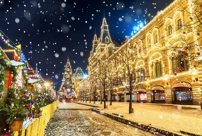 В России выбрали главную елку страны на Новый год