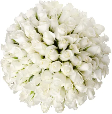 Огромный букет белых роз 70см в крафте, артикул F1182277 - 63432 рублей,  доставка по городу. Flawery - доставка
