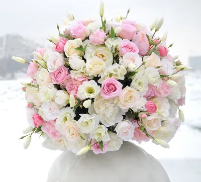 Огромный букет белых роз. Изолированное изображение на белой предпосылке.  Розы покрашенные сливк. Стоковое Фото - изображение насчитывающей цветки,  поднял: 32323720