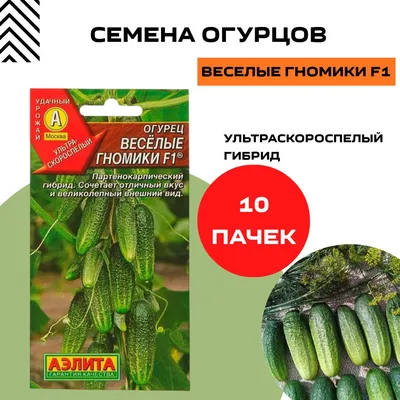 Огурцы семена_огурец_агроэлита - купить по выгодным ценам в  интернет-магазине OZON (1262170015)