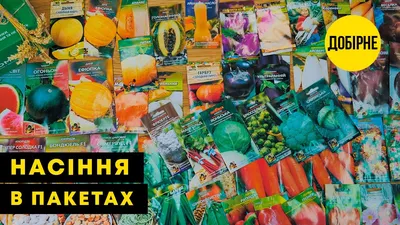 Огурец \"Веселые гномики F1\": купить в Одессе, Киеве и Украине - Agro-Market