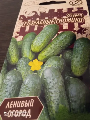Набор семян Огурцы суперпучок, 5 упаковок — купить в интернет-магазине по  низкой цене на Яндекс Маркете