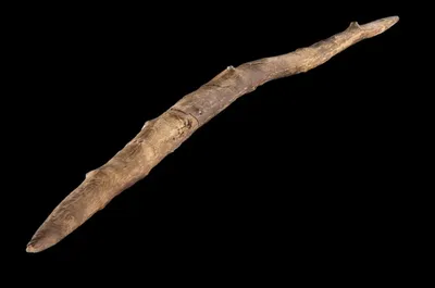 Древнее оружие гоминидов: как его создавали (фото)