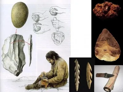 Суперклей из палеолита. Впервые древние люди использовали клейкие смеси  примерно 20 тыс. лет назад
