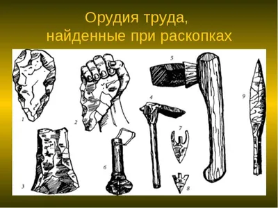 Первый лук и стрелы появились в Европе более 50 тысяч лет назад - Hi-News.ru