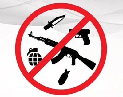 Владельцы оружия могут запросить лицензию онлайн | СП - Новости Бельцы  Молдова