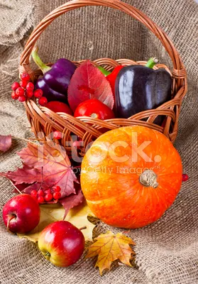 Красивые осенние фрукты - 52 фото