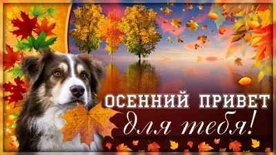 Осенний привет - Эпос земли русской