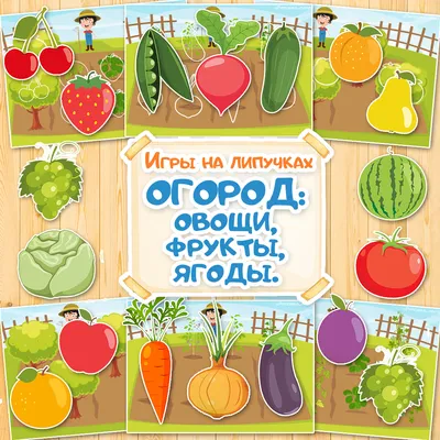 Фрукты, овощи, ягоды - для офиса по лучшей цене l HappyPen