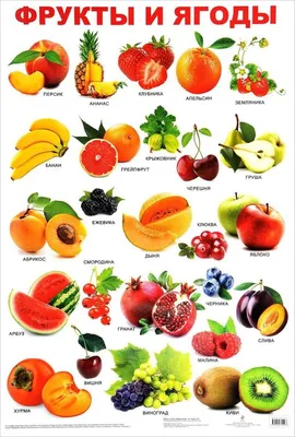 Чем отличаются овощи, фрукты и ягоды? : Беседка