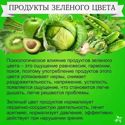 Зеленые овощи: виды, названия, фото и описание. Польза зеленых овощей в  рационе :: SYL.ru
