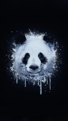 Panda Art | Facebook