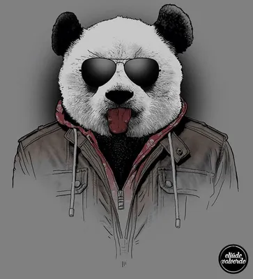 Смешные панды рисунки - 60 фото