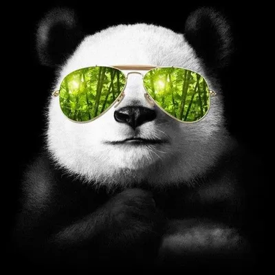 NFT Panda