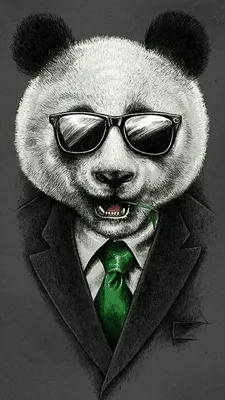 Панда в очках картинка