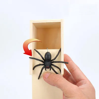 Жизненный цикл паука включает яйцо, личинку, паук и паука для детей от 4  лет | AliExpress