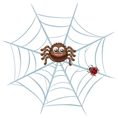 Красив, но опасен для детей и аллергиков. На Днепропетровщине заметили паука-осу.  Читайте на UKR.NET