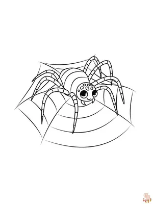 How to draw a spider / coloring toy spider for children / Coloring for Kids  - YouTube