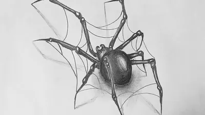 Как нарисовать паука/3D паук - YouTube