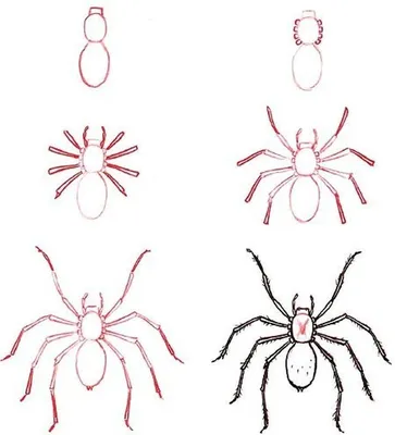 Рисунок паука карандашом, акварелью, гуашью и фломастерами.