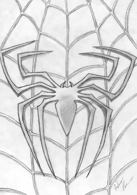 Штрихую тарантула. Часть 2. Как нарисовать паука - YouTube