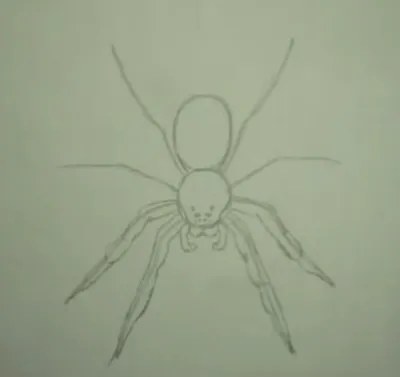 Человек паук для срисовки карандашом легко (35 шт)