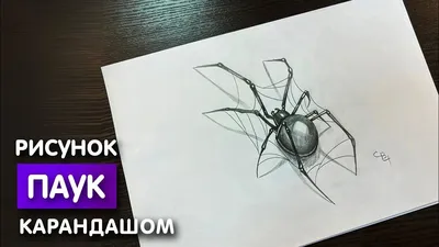Как нарисовать паука карандашом | Рисунок для начинающих поэтапно |  Рисунок, Рисование, Паук