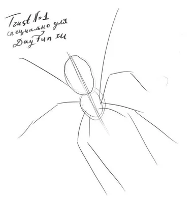 Как нарисовать паука карандашом поэтапно | Паук, Рисовать, Рисунки