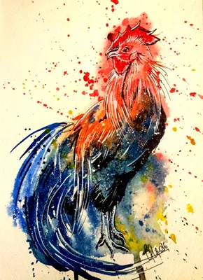 Цветной рисунок петуха - Животные - Картинки PNG - Галерейка