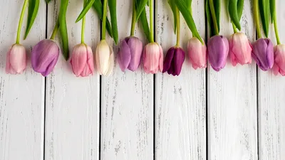 Текстильные Тюльпаны handmade - -------------------------------------- Have  a nice day 🎈 -------------------------------------- Source 📌Pinterest • # весна #spring #oilpainting #illustration #flowers #pinterest #justlove  #tulips #акварель #pinterest ...