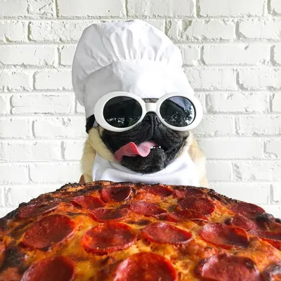 Когнитивно-диссонансная пряничная пицца 😄😄✌ Прикольные угощения  #лучшечембарни #пряникимосква #пряникидетям #пряникипицца | Instagram