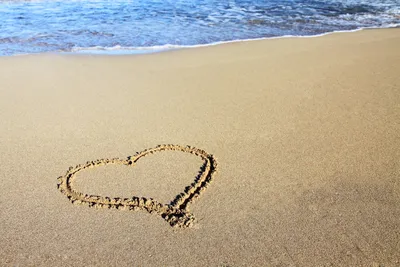 Море пляж пальмы романтика розы …» — создано в Шедевруме