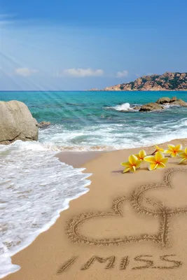 Скачать обои песок, пляж, роза, любовь, романтик разрешение 1400x1050  #123852